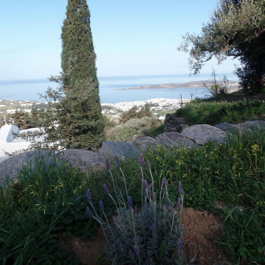 Paros Apartments Cottage Parikia (Paros)